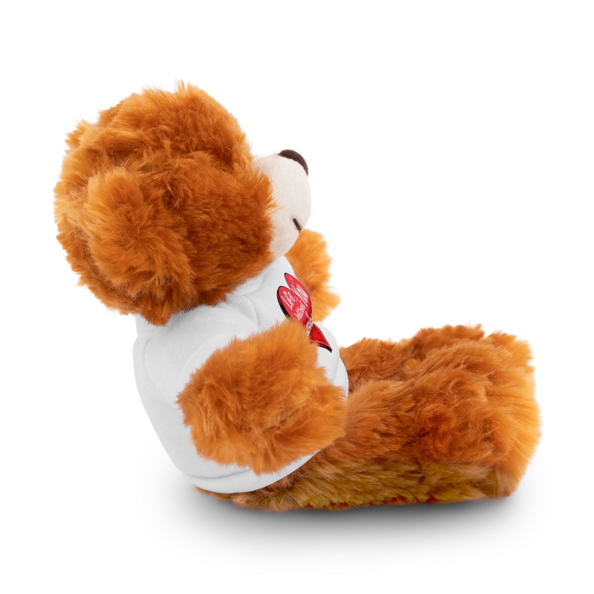 Cute Valentines day Bear plushie